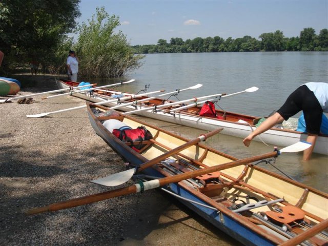 DSC05778 (Medium)